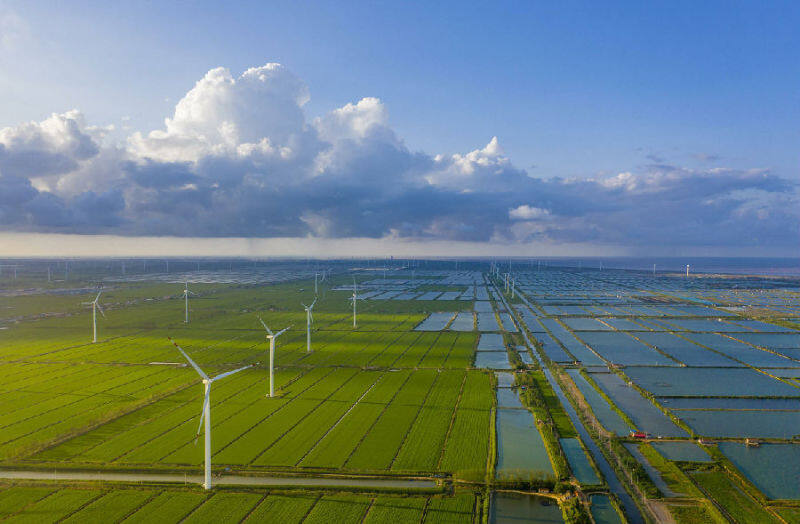 神州数码竞逐大模型生态赛道：打通企业应用最后一平方公里