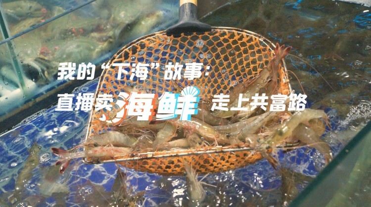 人保服务 ,拥有“如意行”驾乘险，出行更顺畅！_2024年中国婴儿卫浴产品行业市场发展现状及重点企业情况