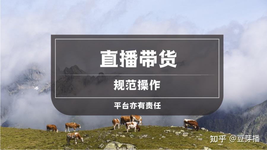 直播带货培训行业发展及未来市场前瞻2024_拥有“如意行”驾乘险，出行更顺畅！,人保有温度