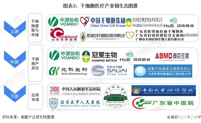 人保车险,人保财险政银保 _干细胞治疗技术行业深度分析及未来发展趋势预测2024
