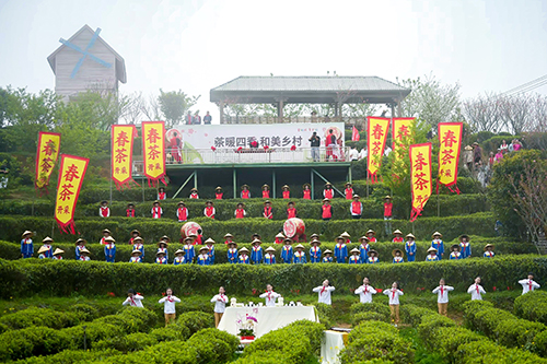 人保财险 ,人保有温度_一朵花绽放百亿产值 2024茉莉花茶行业市场前景预测