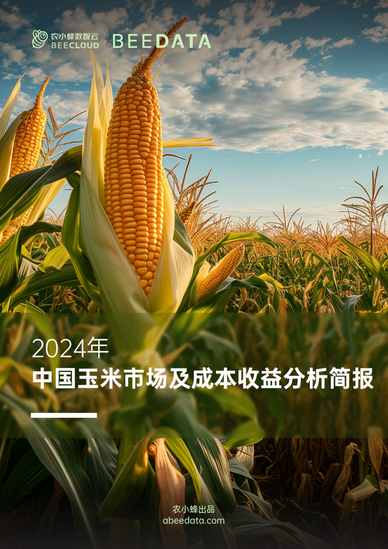 2024中国农业电商行业投资潜力及发展前景分析_人保服务 ,人保伴您前行