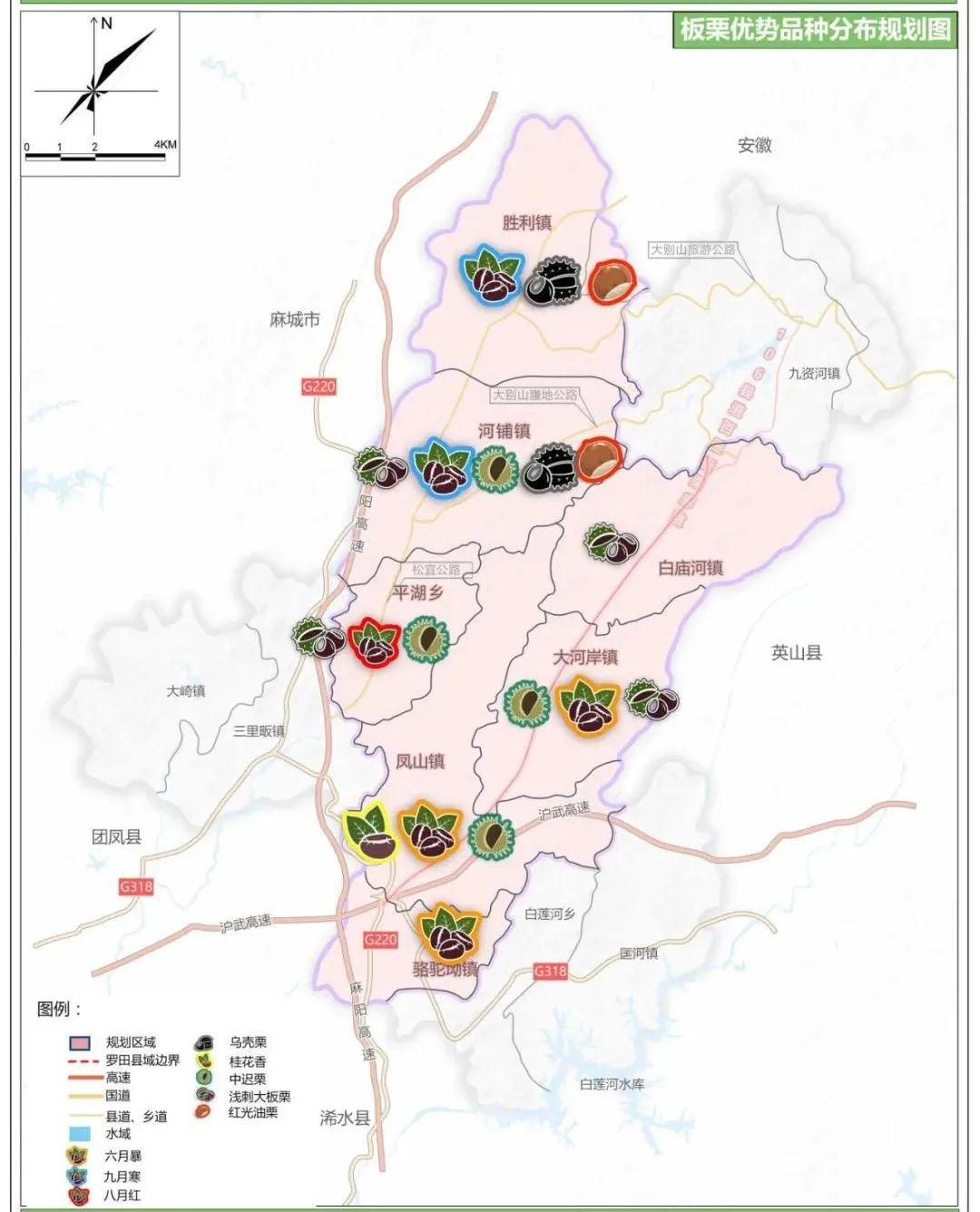 2024板栗行业市场现状及供需格局、未来前景分析_保险有温度,人保车险
