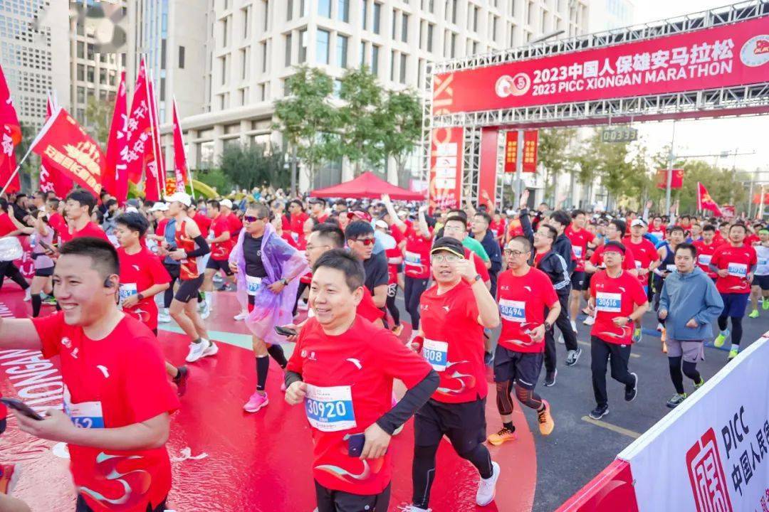 人保车险,拥有“如意行”驾乘险，出行更顺畅！_2024高蛋白饲料行业市场现状及趋势前景分析 预计2029年全球动物饲料大豆浓缩蛋白粉市场规模将达到14.02亿美元