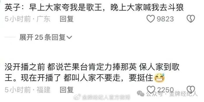 《歌手2024》让广告商也疯狂，超15家品牌“申请出战”