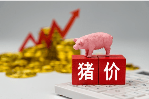 猪价呈现“破8冲9”的局面，“火箭猪”引发热议 中国生猪养殖行业发展趋势与投资价值评估_保险有温度,人保有温度