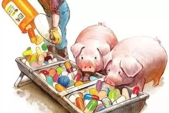 中国畜禽养殖中抗生素行业市场深度分析及前景预测_人保财险政银保 ,人保车险