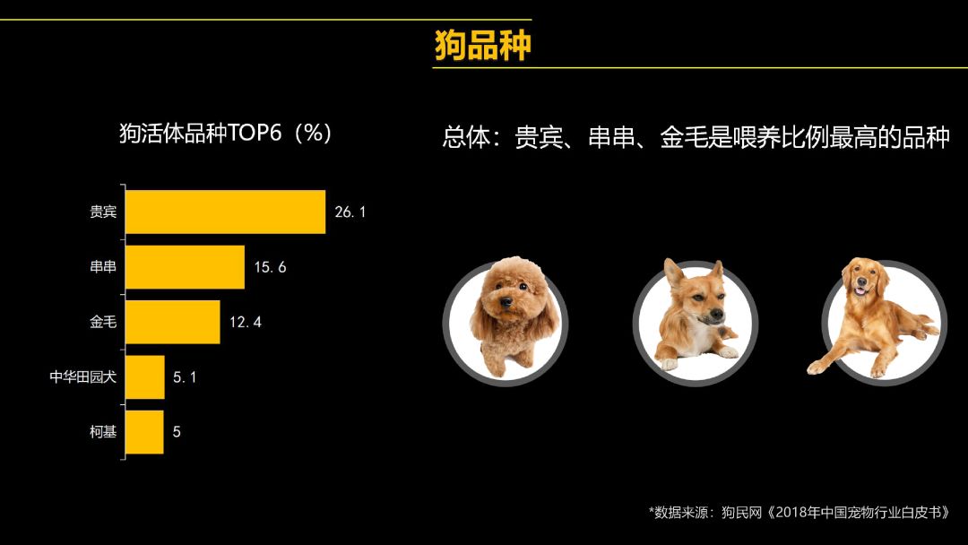 宠物经济行业市场如何?韩国宠物产品销量超过婴儿用品_人保车险,人保有温度
