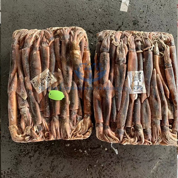人保伴您前行,人保财险政银保 _鱿鱼行业市场发展现状分析及未来发展方向