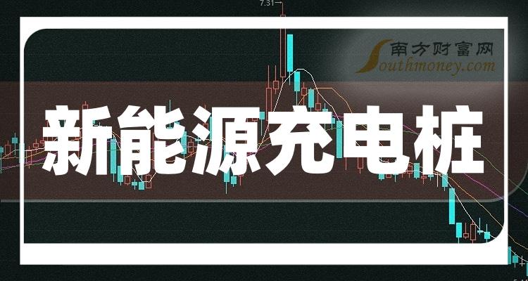 2024年充电桩行业市场发展现状及未来趋势分析报告_拥有“如意行”驾乘险，出行更顺畅！,人保有温度