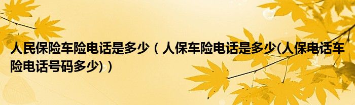 文物保护行业市场深度调研及未来发展趋势预测_人保车险   品牌优势——快速了解燃油汽车车险,人保有温度