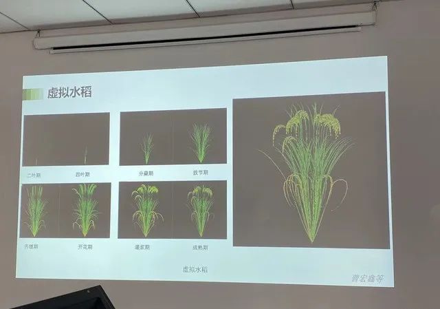 国内植物工厂数量已超过220座 植物工厂行业市场深度调研_人保财险 ,人保护你周全