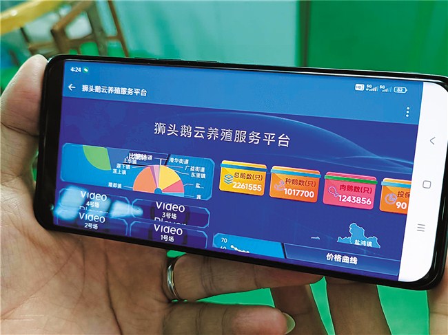 人保车险   品牌优势——快速了解燃油汽车车险,人保财险政银保 _2024年中国水果种植行业供需状况及发展前景分析