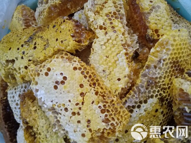 中国蜂蜜行业深度调研及发展前景预测2024_保险有温度,人保车险