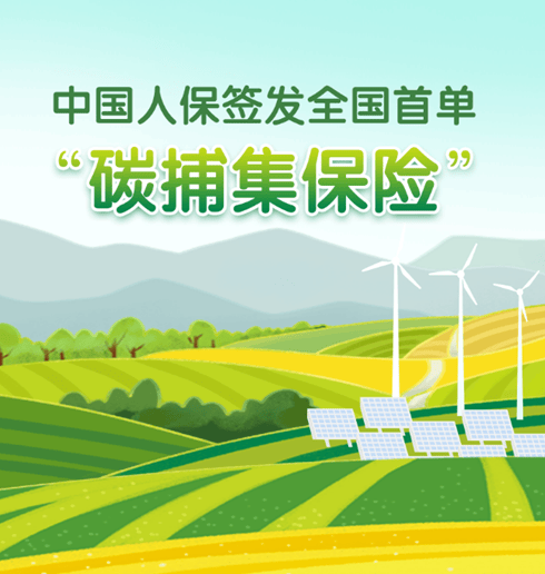 人保车险,人保服务_2024护肤品市场深度调查研究报告 BAUM葆木品牌因战略调整 决定停止在中国市场的产品销售