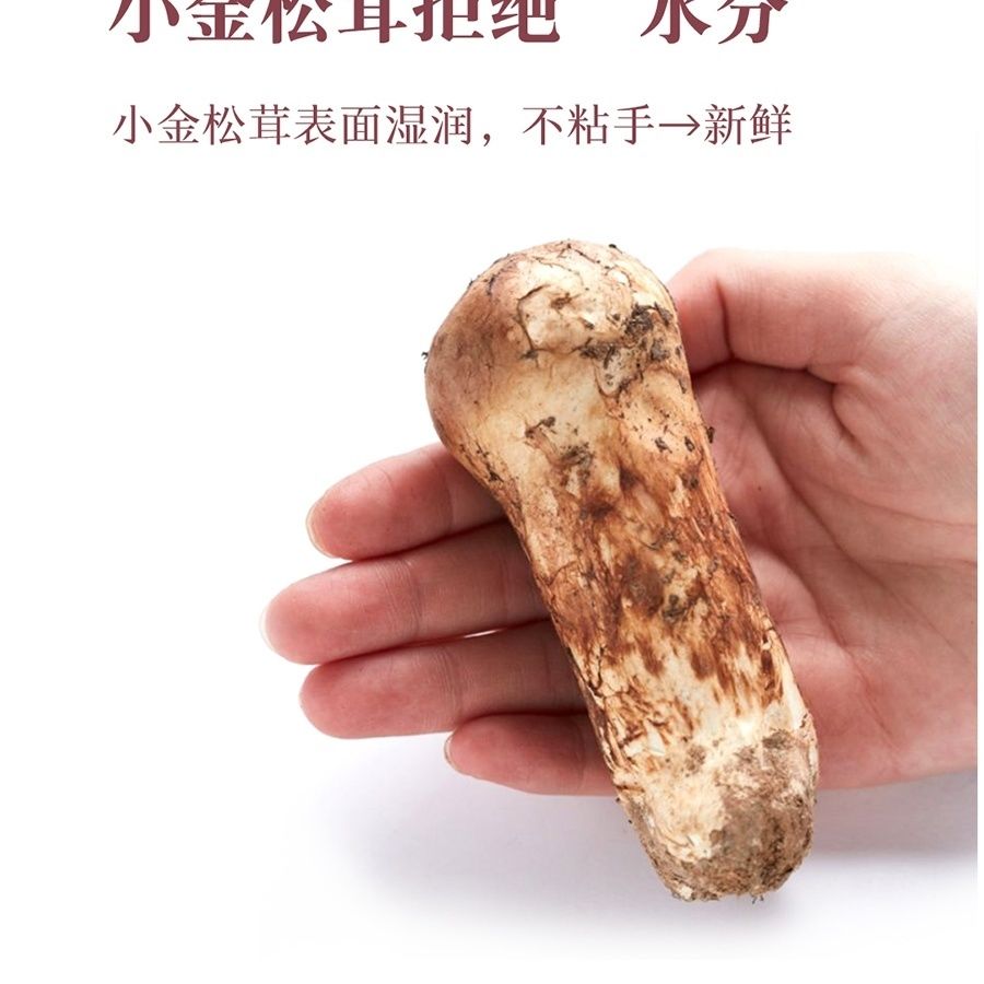 松茸行业市场发展现状及供需格局分析2024_人保财险 ,人保护你周全
