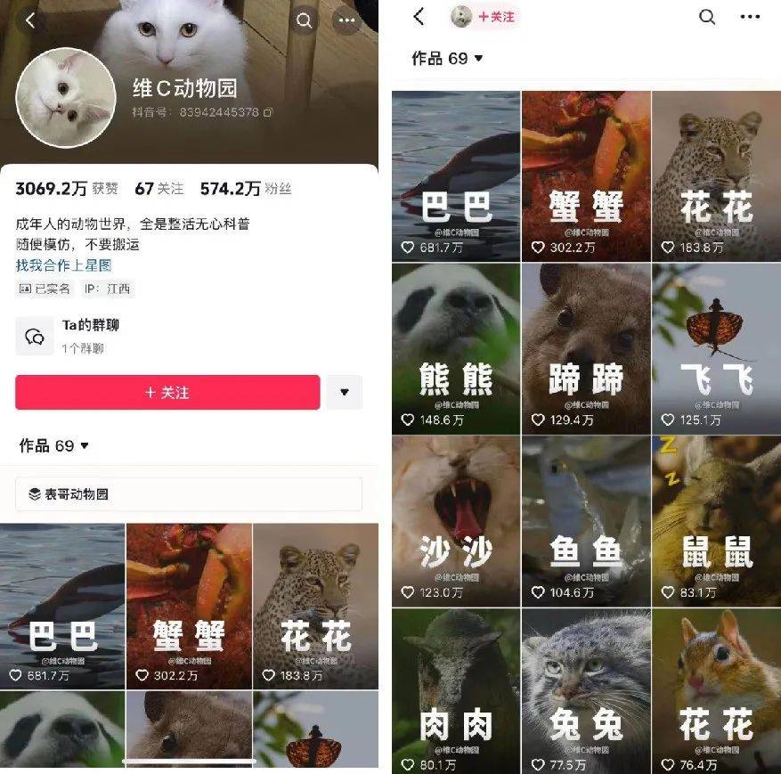 顶流参演已成标配，只靠粉丝难出爆款