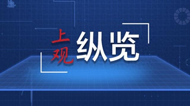 2024年中国树莓行业的市场发展现状及投资价值评估分析_拥有“如意行”驾乘险，出行更顺畅！,人保护你周全