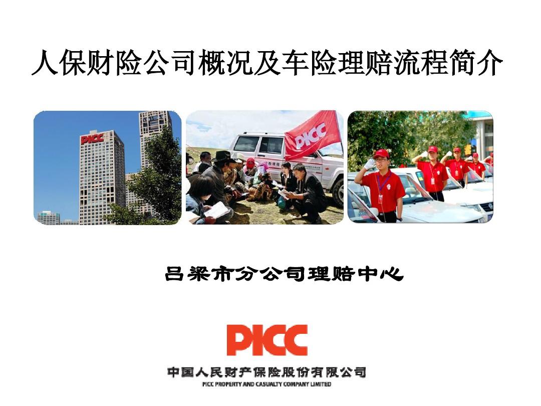 人保车险   品牌优势——快速了解燃油汽车车险,人保财险政银保 _2024年中国万能险行业的市场发展现状及投资风险分析