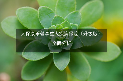 2024年中国无糖碳酸饮料行业的市场发展现状及投资风险分析_人保伴您前行,人保车险