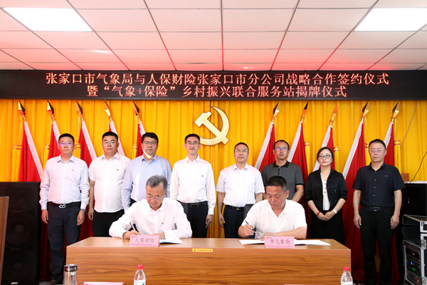 中国投影仪产业链供需布局与招商发展策略研究_人保服务 ,人保服务