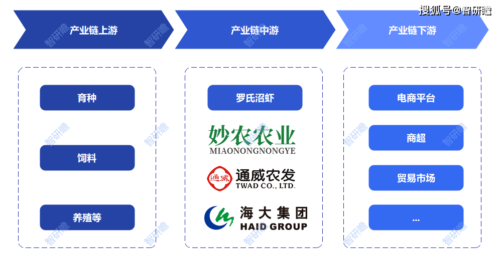 人保财险政银保 ,人保有温度_2024冰雪装备产业链上下游发展现状分析