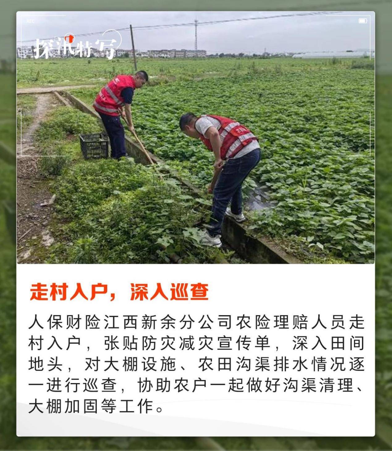 中国洗发水市场深度调查及发展现状、供需格局分析_人保伴您前行,人保财险 