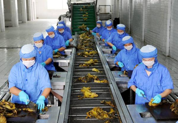 韩国嫌弃奥运食堂空运泡菜到巴黎 泡菜行业发展现状分析_人保伴您前行,拥有“如意行”驾乘险，出行更顺畅！