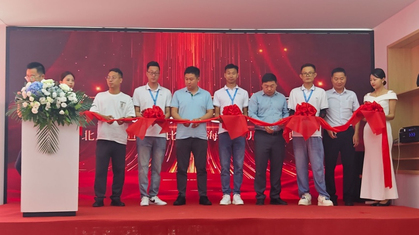优步和比亚迪达成合作 中国汽车进出口行业市场深度调研及投资策略预测_人保伴您前行,人保护你周全