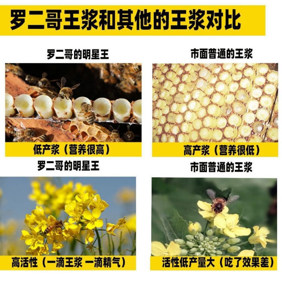 人保服务,人保伴您前行_2024中国蜂王浆产业发展预测及投资潜力分析