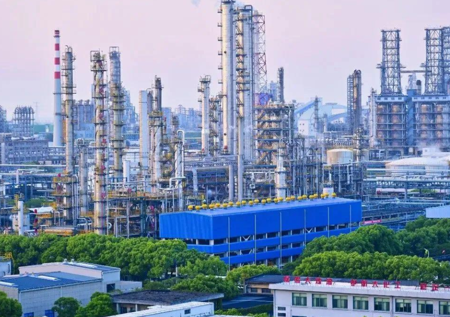 中国蛋氨酸市场现状调查及投资前景、发展趋势预测2024_人保车险,人保财险政银保 