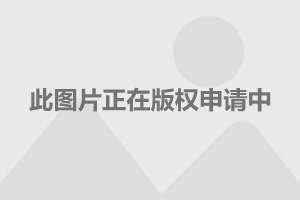人保车险   品牌优势——快速了解燃油汽车车险,人保伴您前行_2024年中国钢板材行业产业链结构分析及未来市场供需趋势