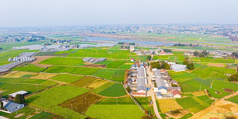 保险有温度,人保伴您前行_2024节水灌溉行业市场发展现状及市场规模分析