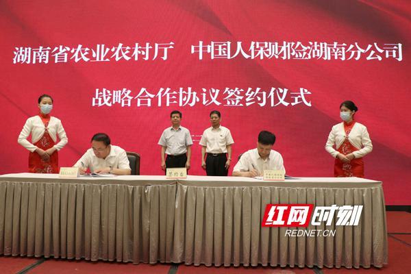 人保车险   品牌优势——快速了解燃油汽车车险,人保财险政银保 _电力滤波器行业主要驱动因素、发展格局及未来趋势展望
