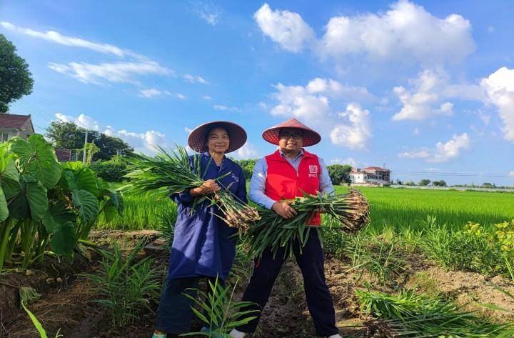 人保财险 ,人保护你周全_2024年年货行业发展现状、竞争格局及未来发展趋势与前景分析
