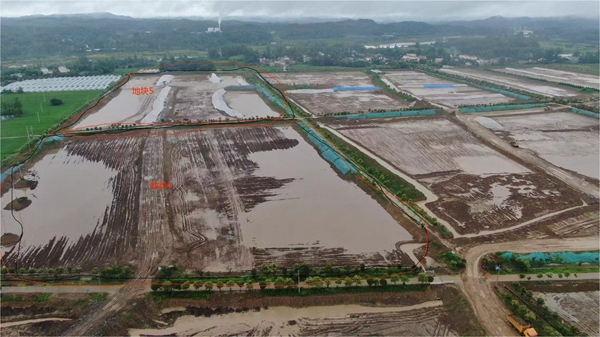2024高钙石行业深度调研及发展现状、竞争格局分析_人保服务,人保财险 