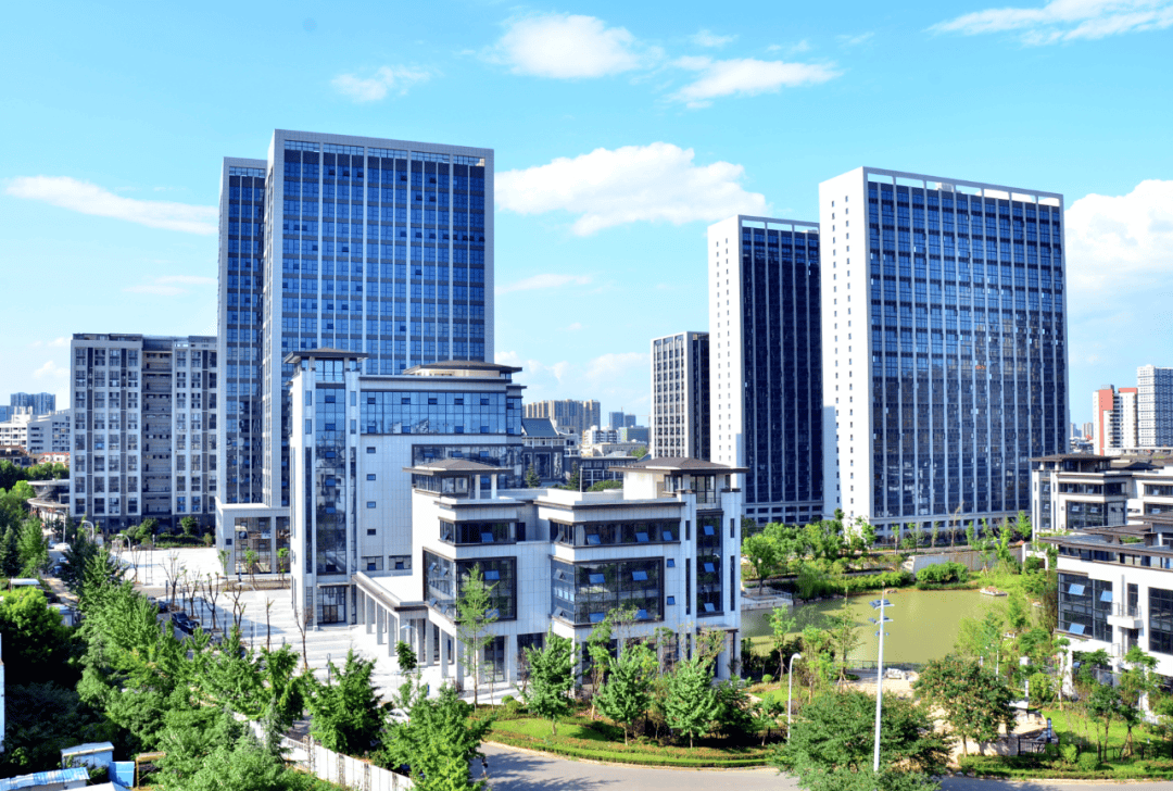 2024化工轻油行业市场深度调研及展现状、竞争格局分析_保险有温度,人保有温度