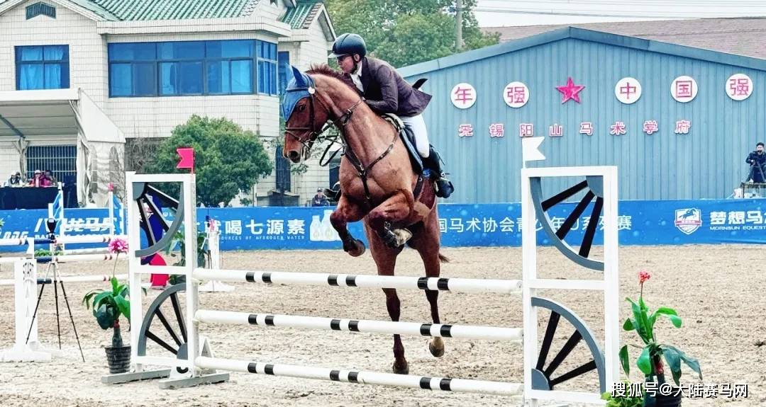 2024马术俱乐部行业未来需求趋势及发展前景预测_人保服务,拥有“如意行”驾乘险，出行更顺畅！