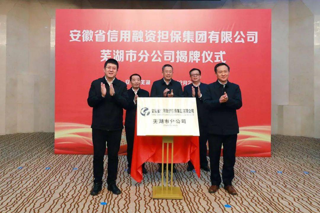 安徽省投资集团原副总经理于华伟被开除党籍