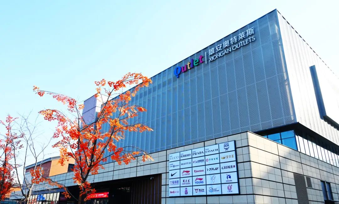 2024年环保农药行业市场环境及未来发展前景分析_人保服务 ,人保财险政银保 
