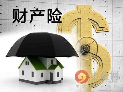 医疗IT行业市场竞争格局及未来市场规模预测分析_人保伴您前行,人保财险 