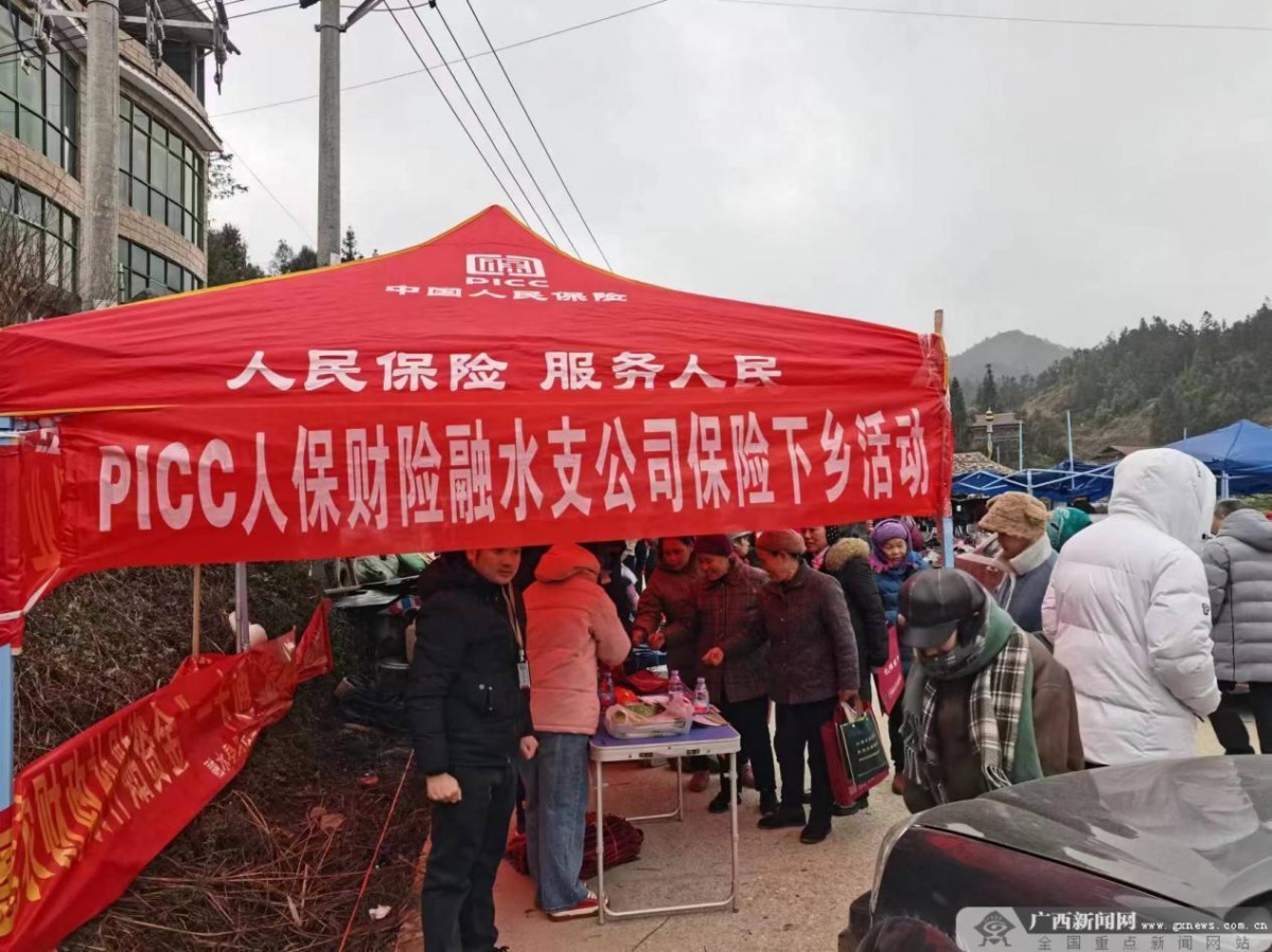 中国电商平台行业深度发展研究与“十四五”企业投资战略规划_人保服务,人保有温度