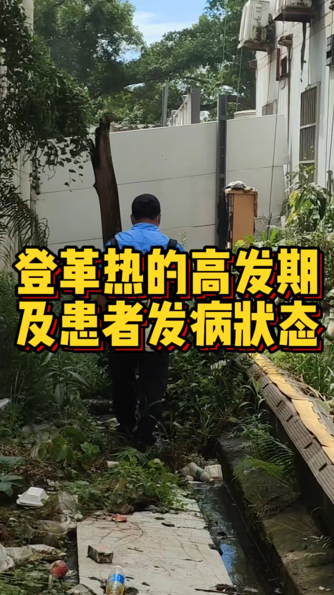 保险有温度,人保财险 _今年以来登革热在全球呈现高发态势 2024年灭蚊器市场机遇与挑战分析