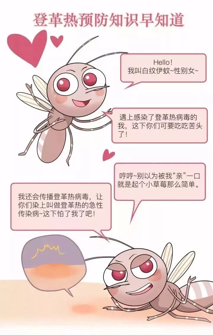 保险有温度,人保财险 _今年以来登革热在全球呈现高发态势 2024年灭蚊器市场机遇与挑战分析