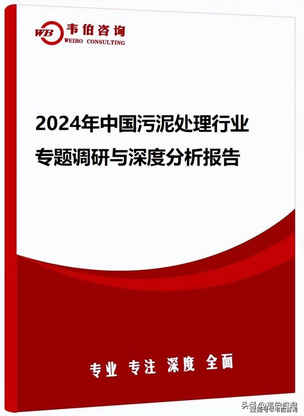 人保财险 ,拥有“如意行”驾乘险,出行更顺畅!_2024年智能语音行业前景预测与深度调查研究报告