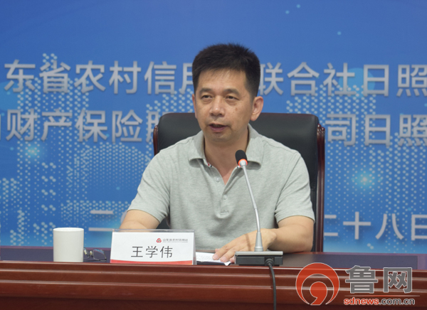 碳纸行业投资潜力及发展前景预测研究 技术突破与创新_保险有温度,人保财险政银保