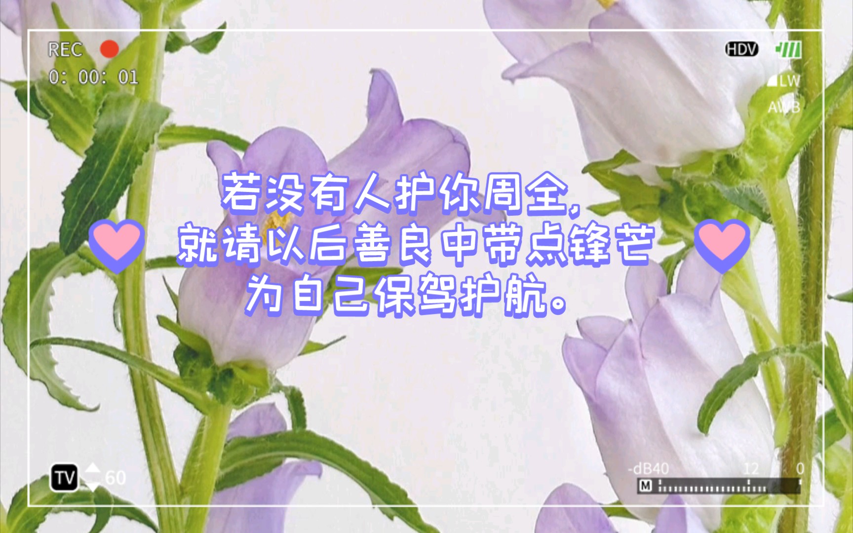 安保行业市场需求现状分析及未来趋势展望_人保护你周全,人保有温度