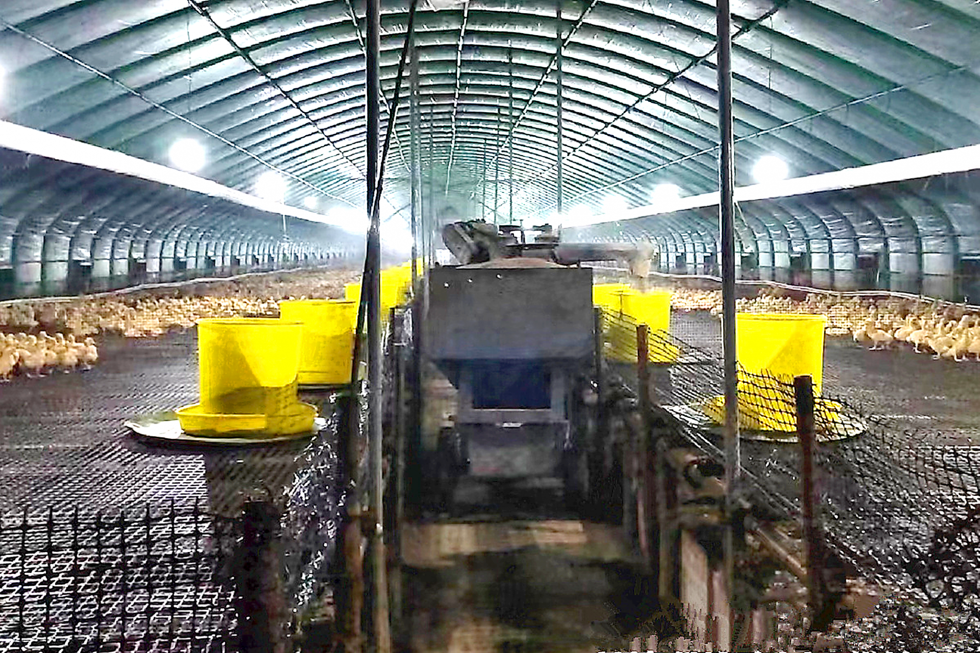 2024年加氢催化剂行业深度调研及投资机会分析_人保财险政银保 ,人保伴您前行