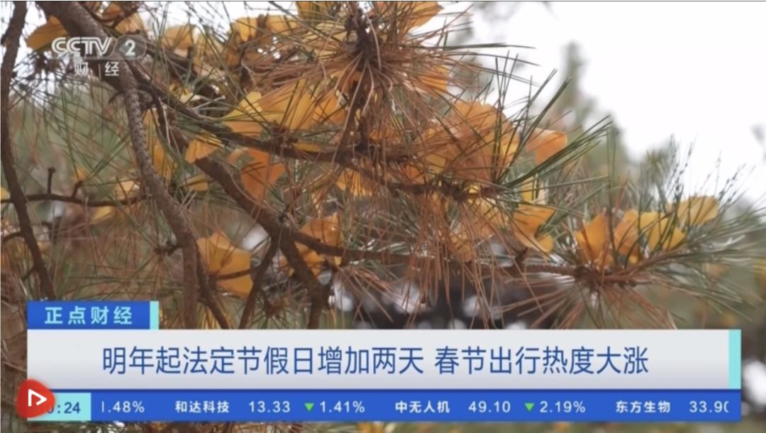 2025年短剧行业政策分析及前景预测_人保服务,拥有“如意行”驾乘险,出行更顺畅!