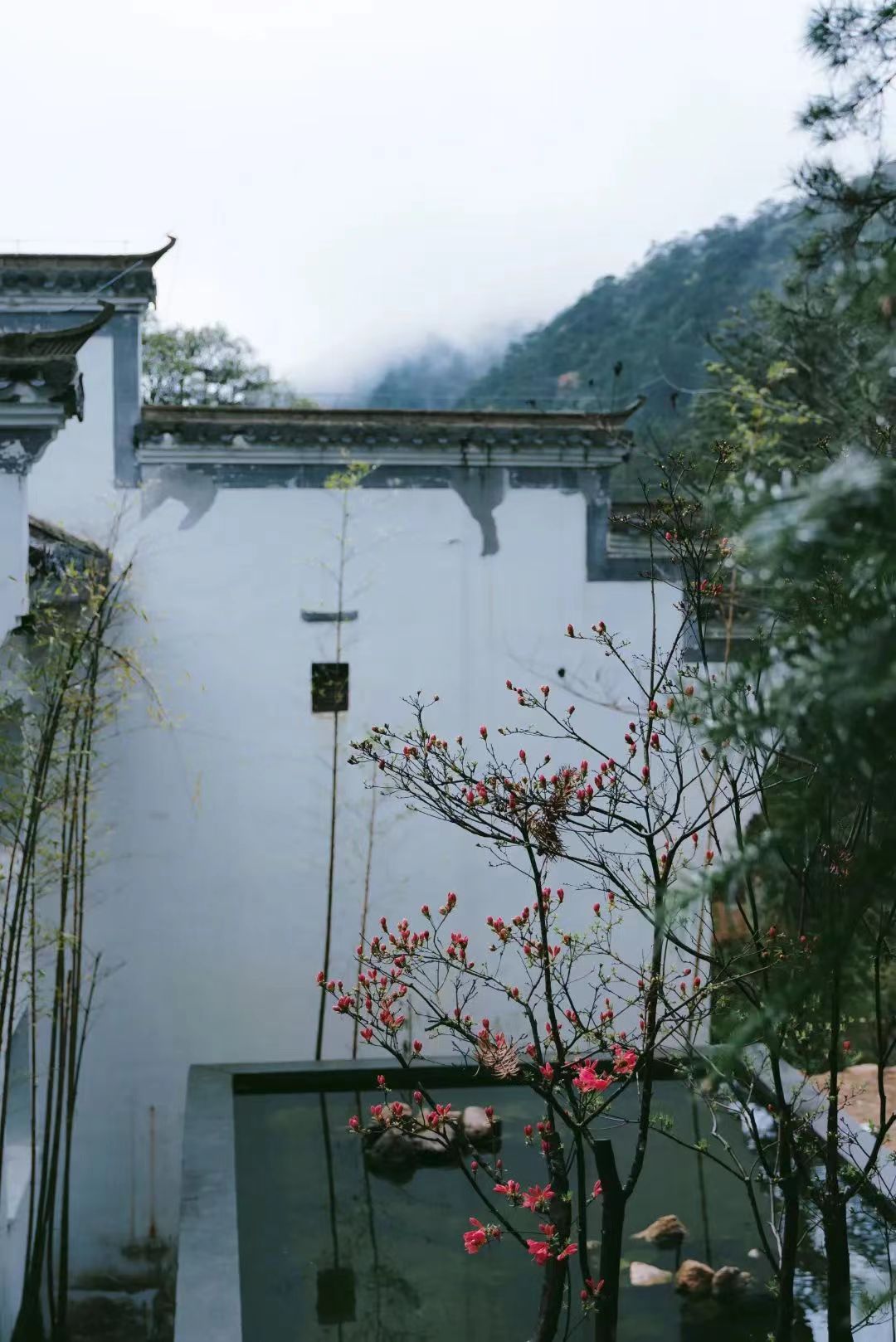 2025年精酿啤酒行业前景预测及投资分析_人保服务,人保护你周全